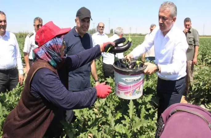 Karaman’da sebze üretimi artıyor