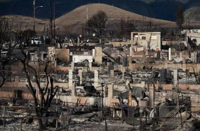 Hawaii'deki orman yangınlarında can kaybı 99'a yükseldi