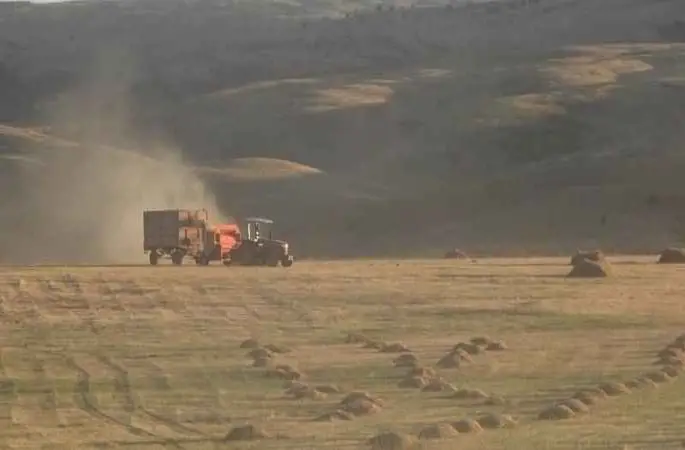 Tarım-ÜFE yıllık yüzde 62,48 arttı