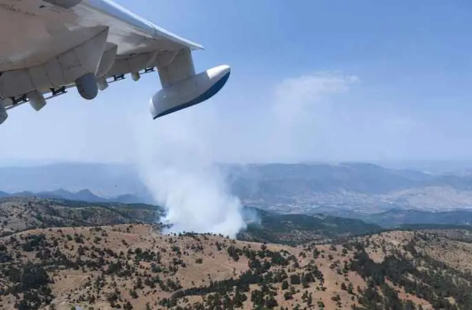 Eskişehir’de orman yangını