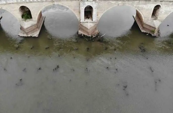 Meriç Nehri’ni kuraklık vurdu