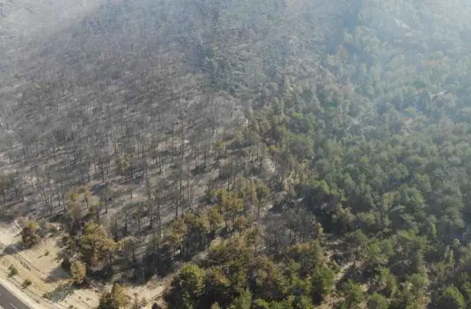 Eskişehir’deki orman yangını kontrol altına alındı