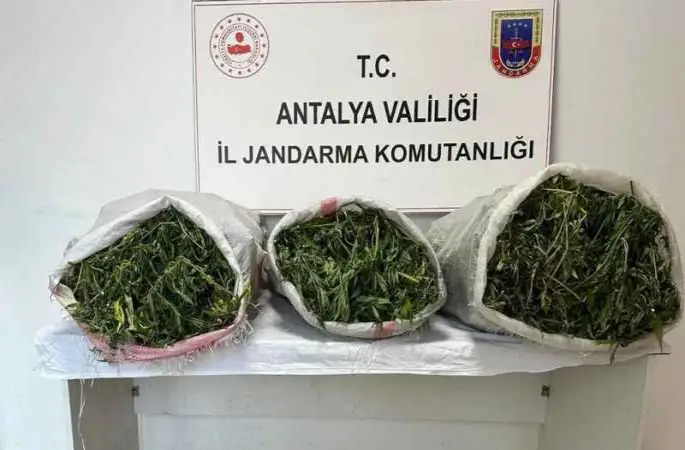 19 kilo 745 gram skunk maddesi ele geçirildi