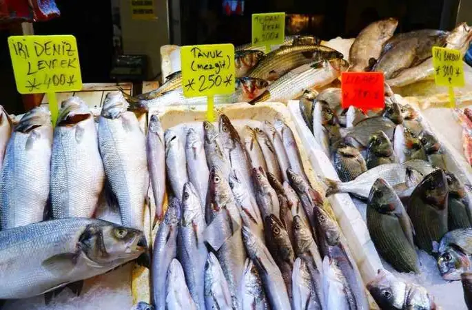 Av yasağı bitti, tezgâhları hamsi ve sardalya süslüyor