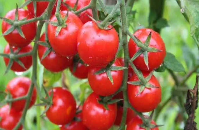 EİB’nin ihracatı ağustos ayında 1,5 milyar doları aştı