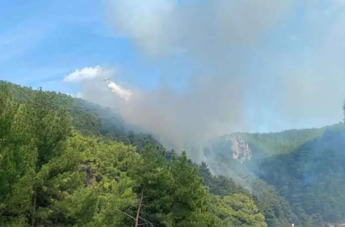 Çanakkale’de orman yangını