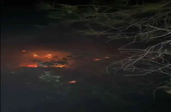 Muğla Menteşe'deki orman yangını kontrol altına alındı