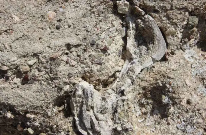 Sivas'ta bulundu, binlerce yıllık olduğu düşünülüyor