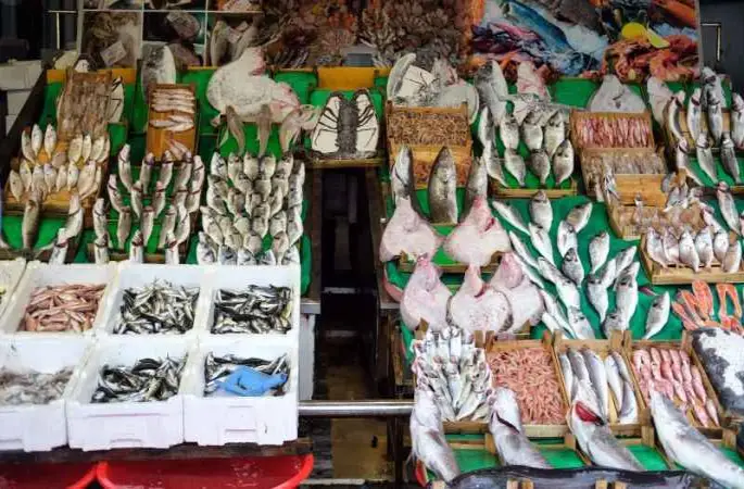 Balık sezonu hamsi bolluğuyla başladı