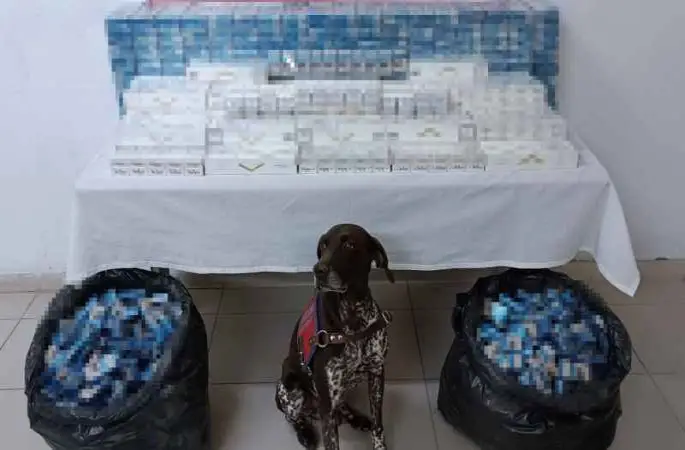 Ağrı’da 3 tırda kaçak akaryakıt ve sigara ele geçirildi