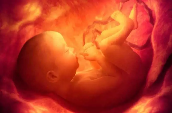 Anne karnındaki bebeğin gelişim anomalilerini saptayacak tarama testi projesine destek