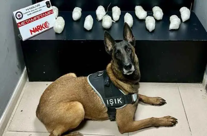 Hakkari'de bir araçta 14 kilo 620 gram metamfetamin ele geçirildi