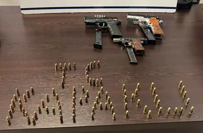 Çalılık alandaki poşetin içerisinde 3 adet silah ele geçirildi