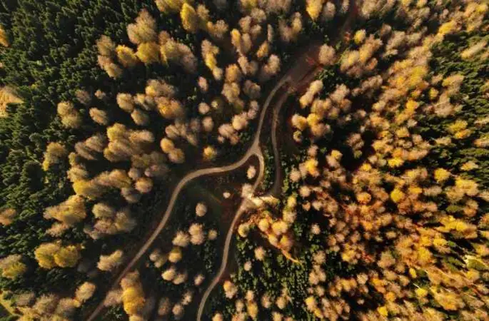 İstanbul'un yanı başında: Eşsiz manzara, bol oksijen