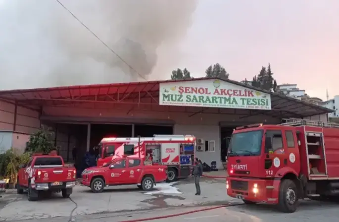 Alanya'da mobilya deposu yandı, alevler muz ve çiçek serasına sıçradı