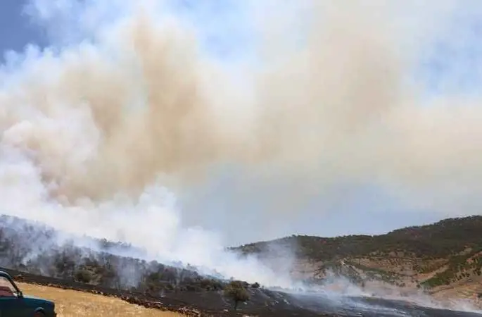 Kahramanmaraş’taki orman yangını kontrol altına alındı