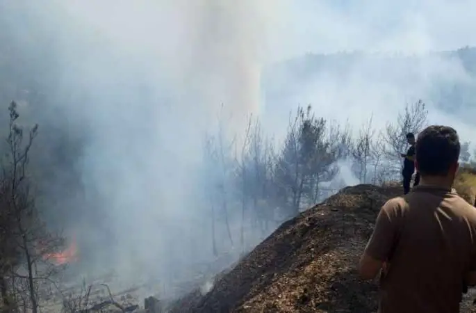 İzmir'de iki orman yangını birden başladı