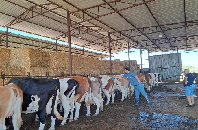 Aydın'da 13 mahalle karantinaya alındı