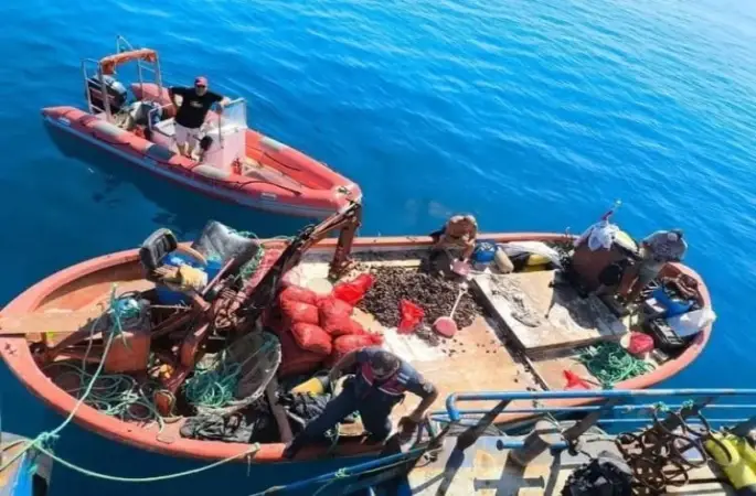 Aydın’da yasa dışı avcılığa geçit verilmiyor: "Bir yılda 5 bin denetim yapıldı"
