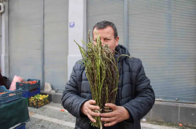 Aydın’ın yöresel lezzeti kedirgen ve sarmaşıklar pazar tezgahlarını süslemeye başladı
