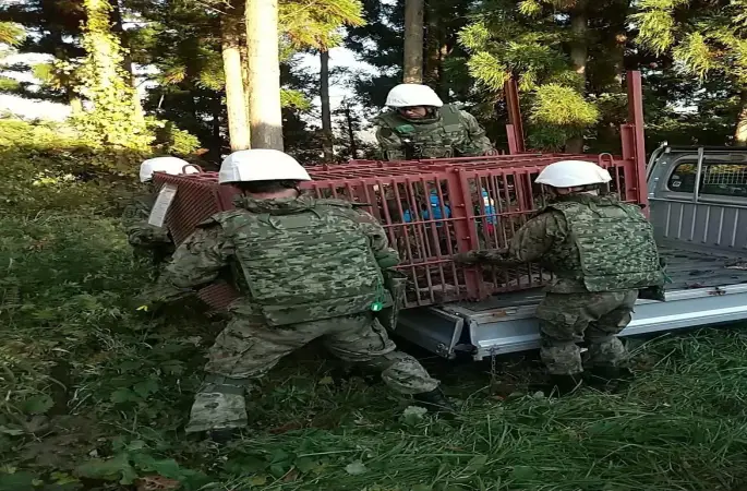 Ayılara karşı silah kullanma yetkisi verildi