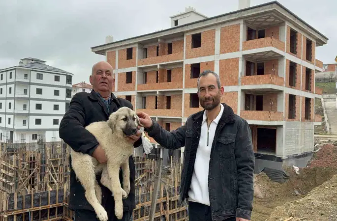 Baba oğul, çatıda ölümün eşiğindeki yavru köpeği kurtardı
