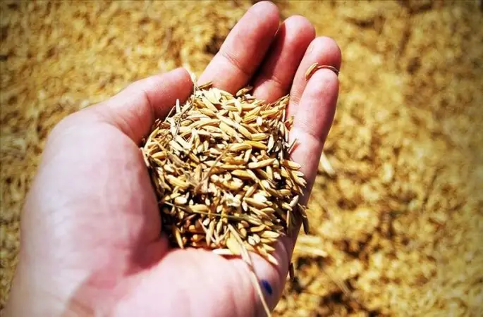 Bakan Yumaklı: İsrail’den tohum almıyoruz