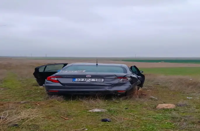 Bariyerlere çarpıp tarım arazisine giren otomobilde 5 kişi yaralandı
