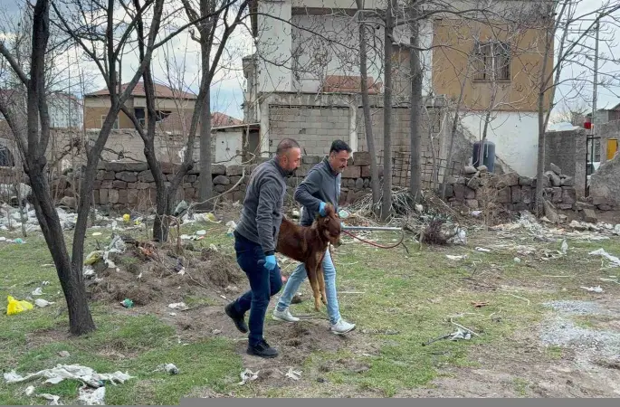 Başıboş köpeğin saldırdığı 3 yaşındaki çocuk ağır yaralandı
