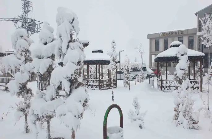 Başkale’de kar yağışı
