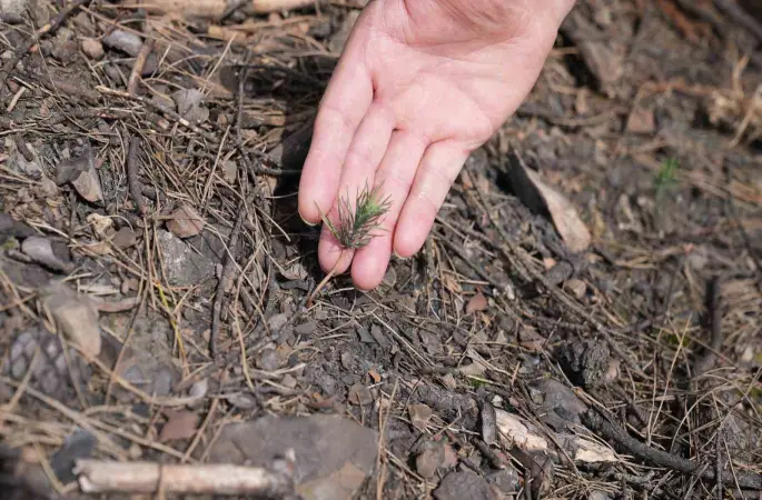 Başkan Işık’tan yeşil Gürsu çağrısı
