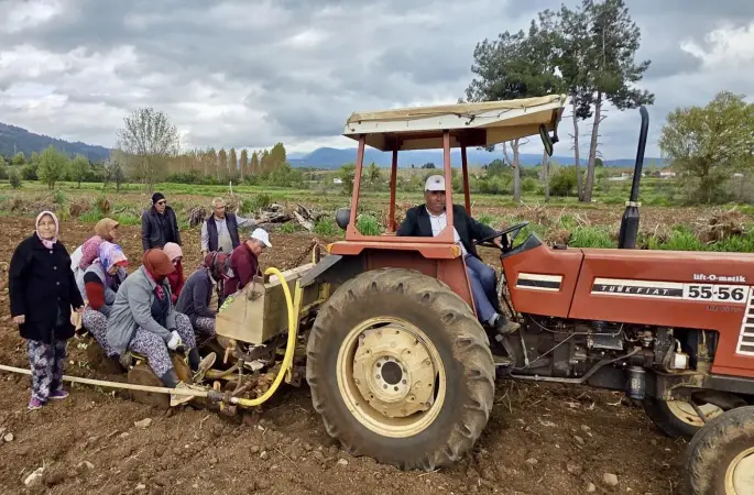 Başkan Pütün tütün sezonun başlamasıyla birlikte üreticiyle tarlada buluştu

