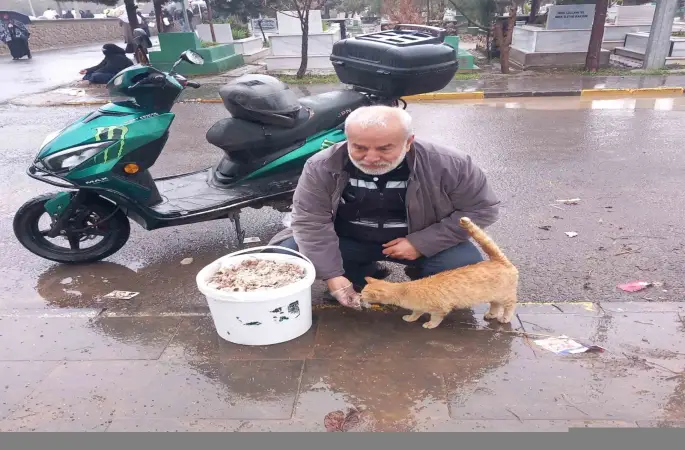 Bayramda sokak hayvanlarını unutmadı
