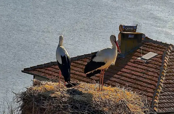 Beklenen buluşma gerçekleşti
