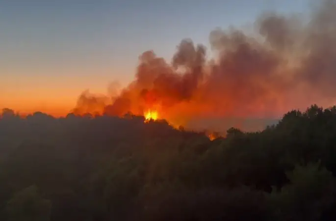 Beykoz’daki yangını söndürme çalışmaları devam ediyor
