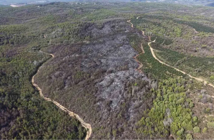 Beykoz’daki yangının bilançosu gün ağarınca ortaya çıktı
