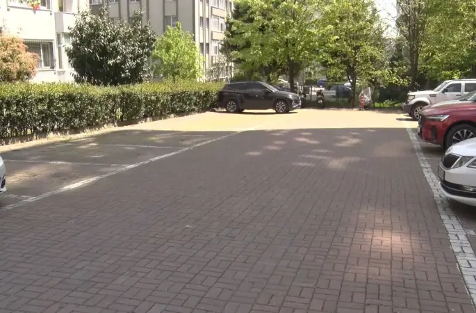 Beylikdüzü’nde başıboş köpekler vatandaşı kovaladı
