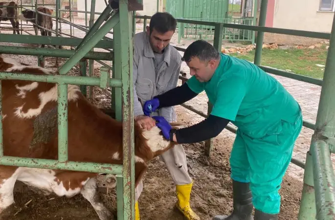 Beyşehir’de hayvan sağlığını koruma çalışmaları
