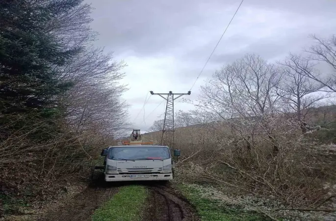 Bilecik’te elektrik akımına kapılan işçi ağır yaralandı
