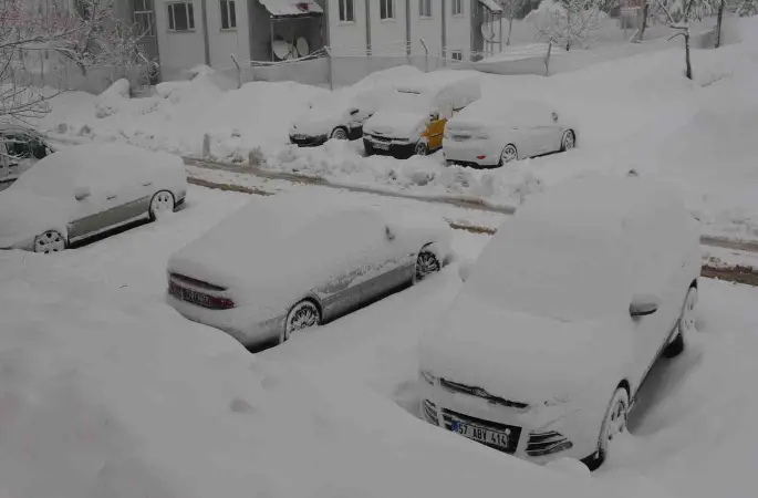 Bitlis’te 165 köy yolu kardan kapandı
