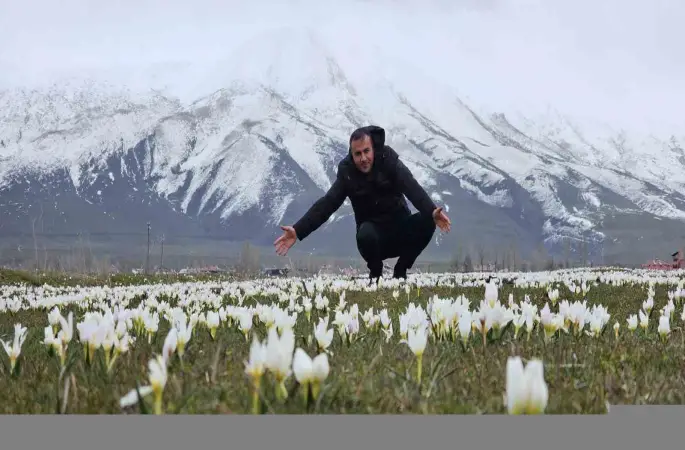 Bitlis’te baharın müjdecisi kardelenler açtı
