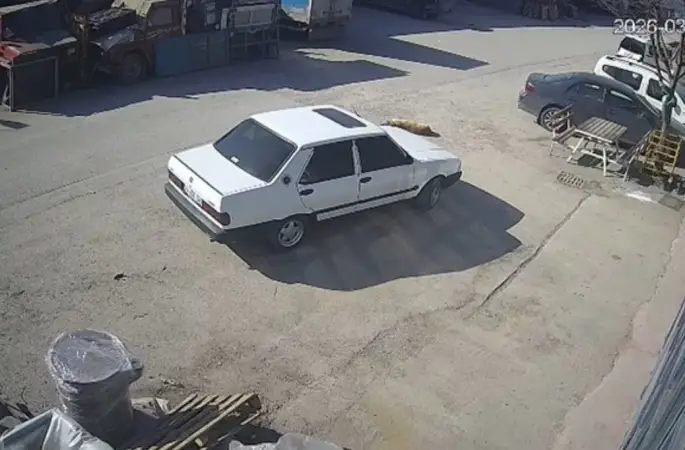 Bolu’da köpeğin üzerinden geçen sürücü gözaltına alındı
