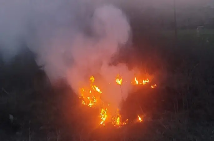 Bolu’da otluk alanda çıkan yangın büyümeden söndürüldü
