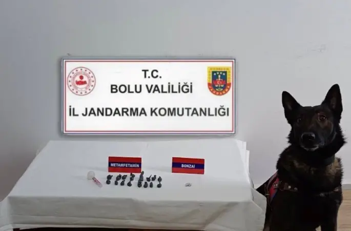 Bolu’da uyuşturucu operasyonu
