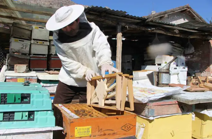 Bu seçimde kazananı ’arılar’ belirleyecek
