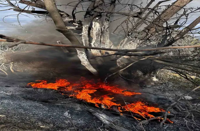 Bursa’da çıkan çalı yangını büyümeden söndürüldü
