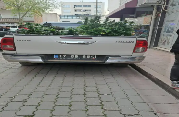 Çanakkale’de evinde kenevir yetiştiren şahıs gözaltına alındı
