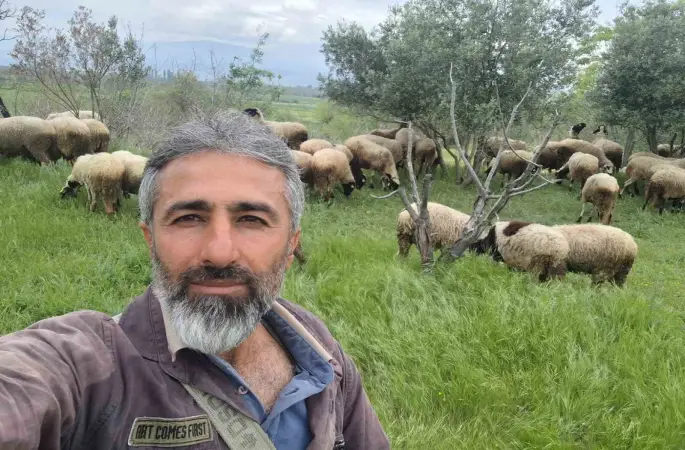 Çeşme sakızı ile Fransız koçunu birleştirdi, verimi katladı
