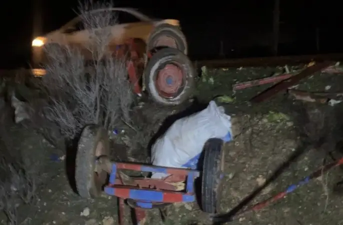 Ceylanpınar’da otomobil, at arabasına çarptı: 2 yaralı
