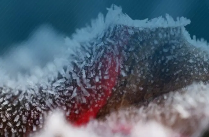 Çiftçilere 798 milyon lira destek ödemesi yapıldı